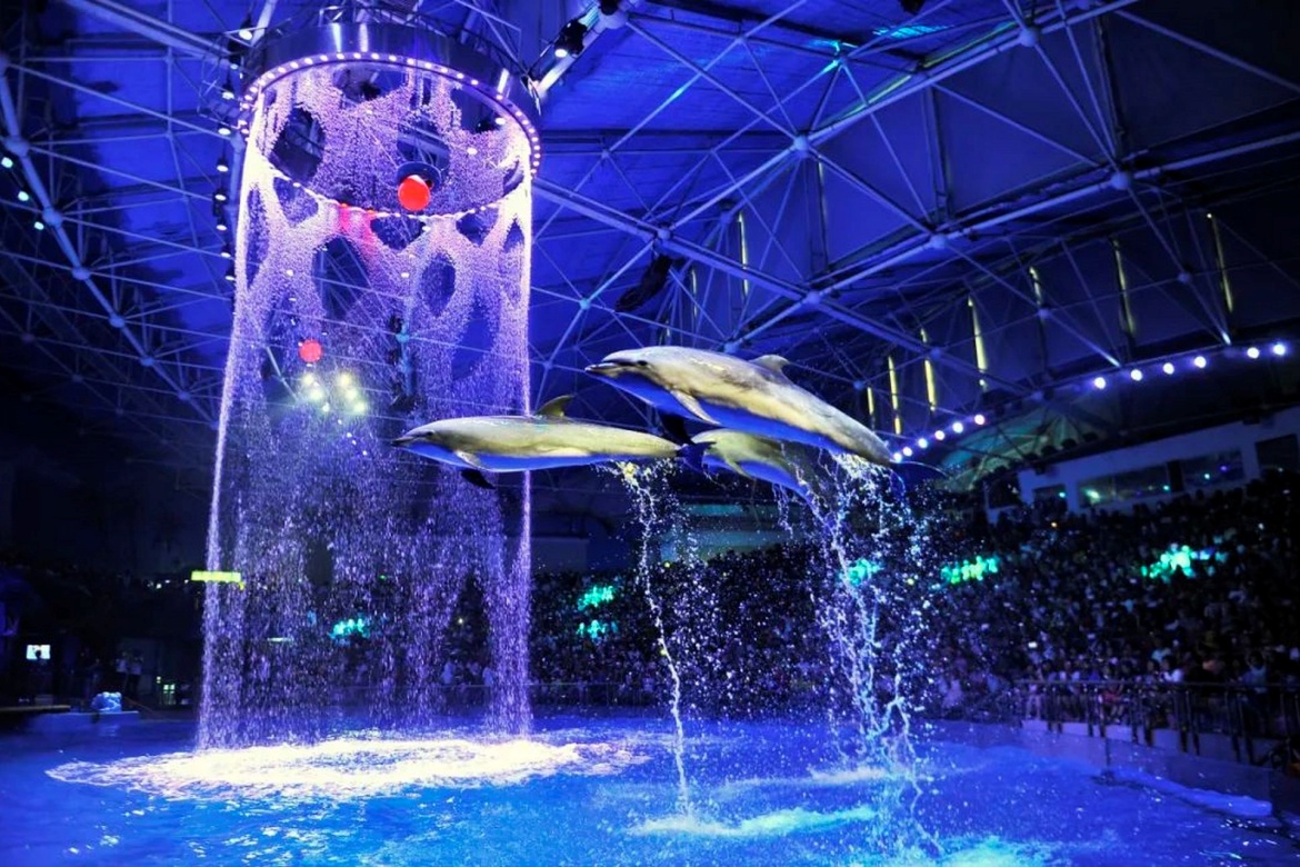Tiger Beach Ocean Park